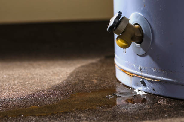 Best Water damage restoration near me  in Darrington, WA