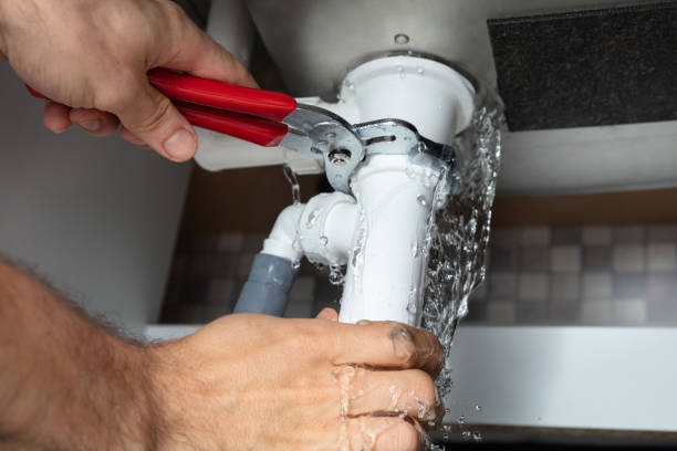 Best Water damage mitigation services  in Darrington, WA