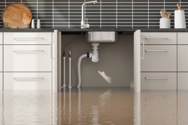 Best Ceiling water damage repair  in Darrington, WA